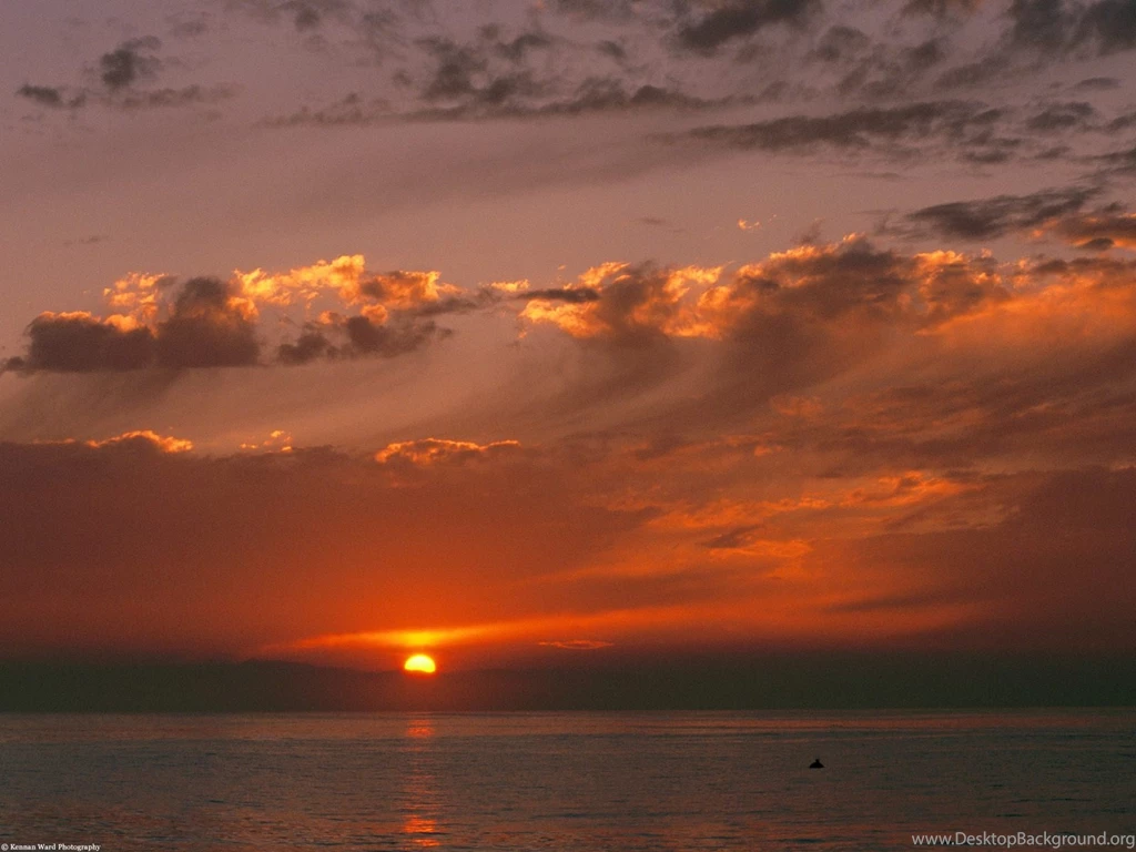 Blood Orange Sunset Over The Pacific Ocean California Nature ...