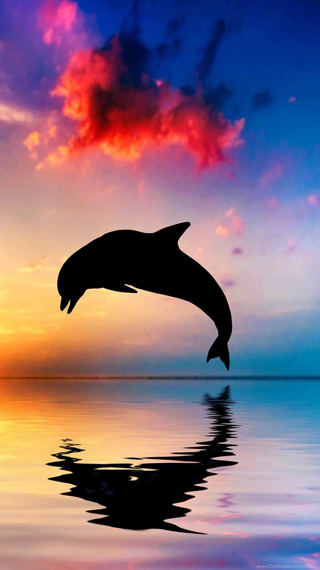 Free Android Wallpapers HD CuteWallpaper.org