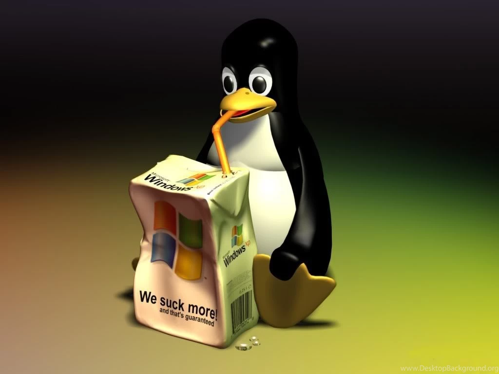 Free Wallpapers For Windows Xp Wallpapers Zone