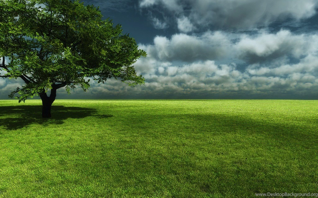 UNeedAllinside: 20 Windows 8 Preview Wallpapers Official Download