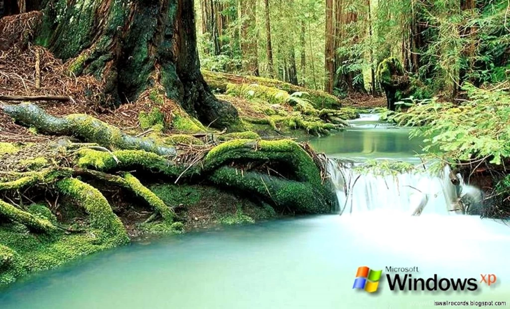 Nature Wallpapers For Windows Xp Free Download