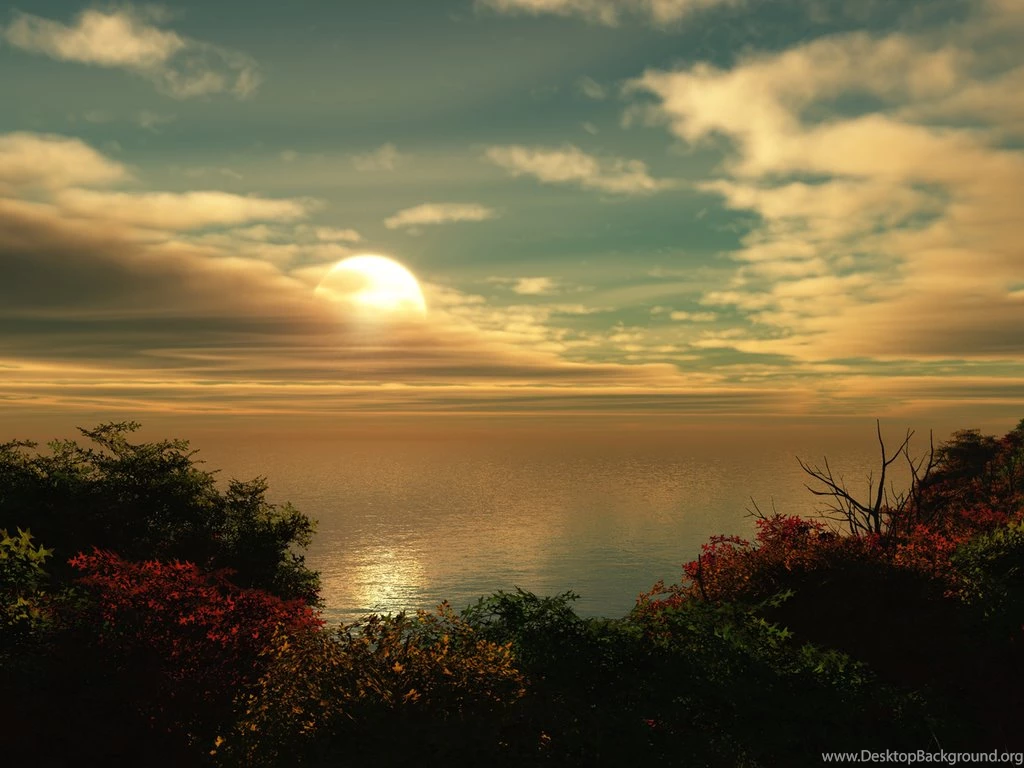 Nature Wallpapers   Sky, Black, Darkolivegreen