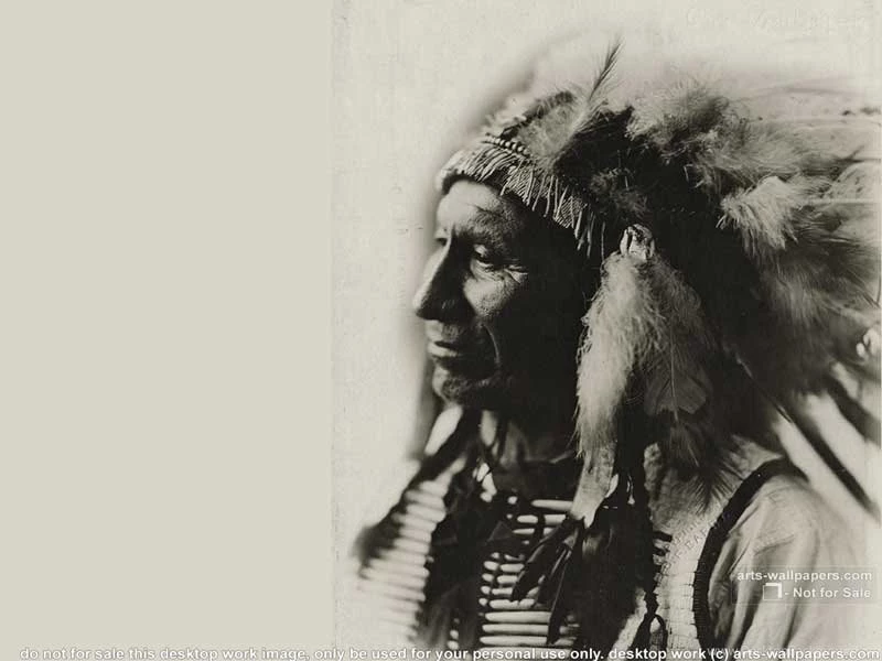 Indian And Wolf Wallpapers Image
