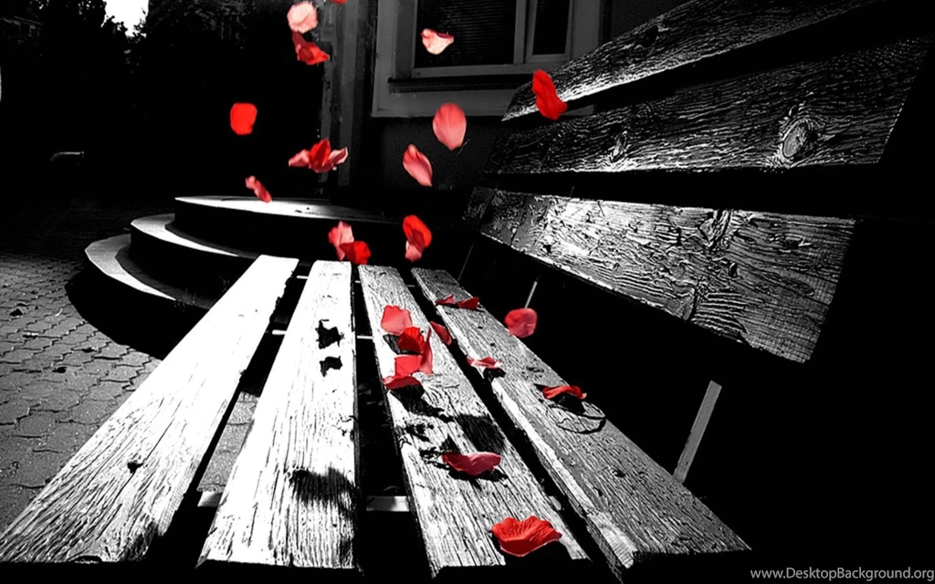 Amazing Photography Wallpapers Black