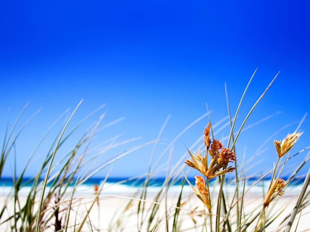 Clear Beach Sky Backgrounds Hd 1080P Hd Wallpapers 1600x1200 Wide ...