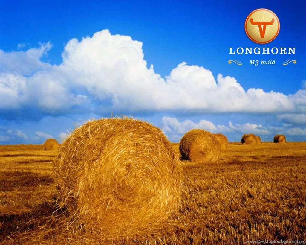 Longhorn Wallpapers Wallpapers Cave
