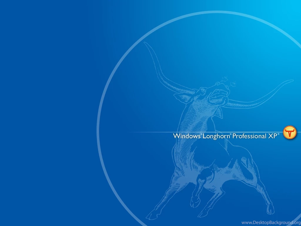 Classic Longhorn Wallpapers