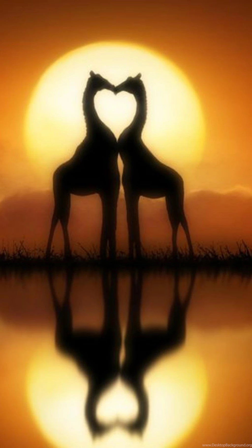 Giraffe Love Quotes Iphone 6 Plus Wallpapers Desktop Background