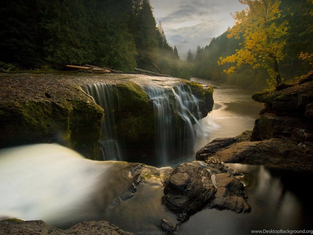 Wild River Forest   Computer Wallpapers Computer Desktop Wallpapers ...