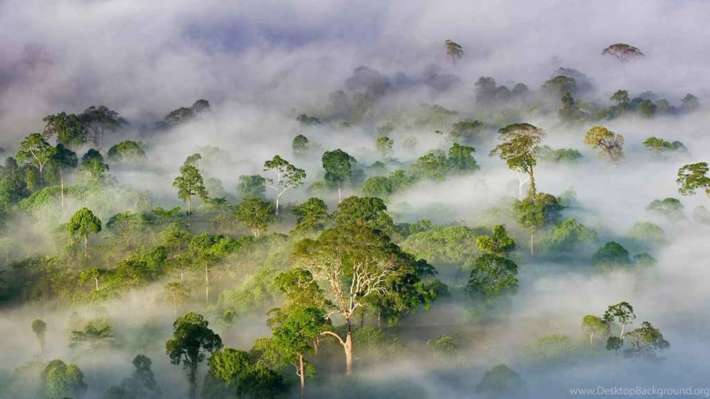 Danum Valley Conservation Area, Sabah, Malaysia Bing™ Wallpapers ...