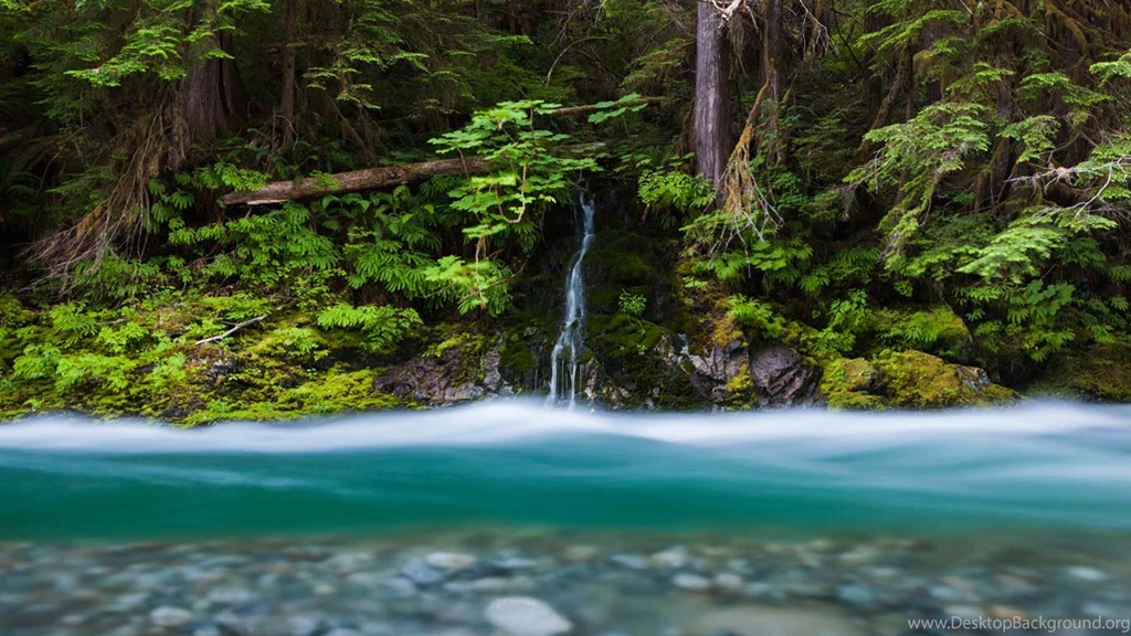 Bacon Creek, Mount Baker Snoqualmie National Forest, Washington ...