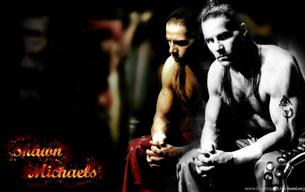 Shawn Michaels WWE On Wrestling Media