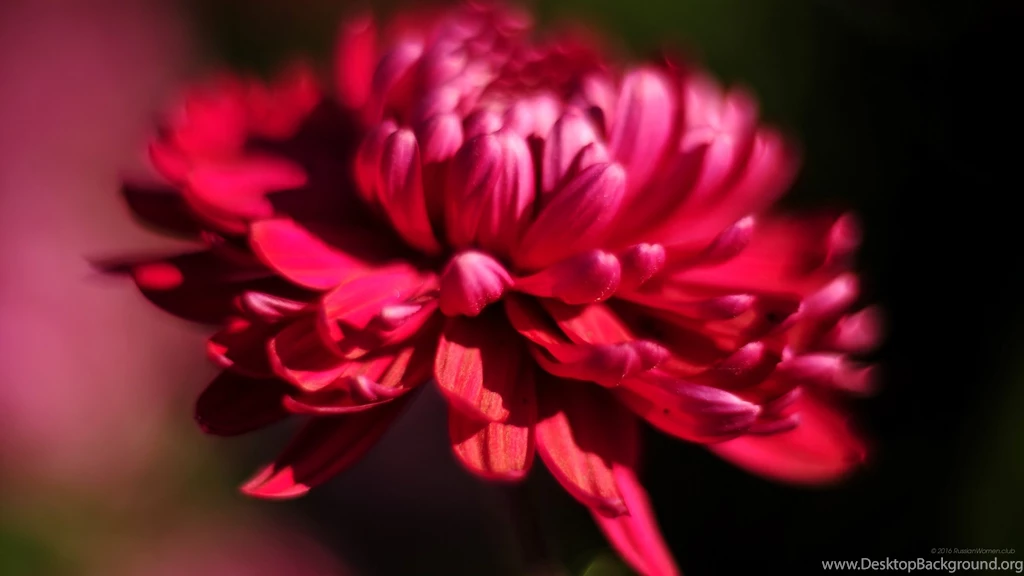 2560x1440 Nature Wallpaper. WQHD 1440p (Wide Quad HD) 16:9 All ...