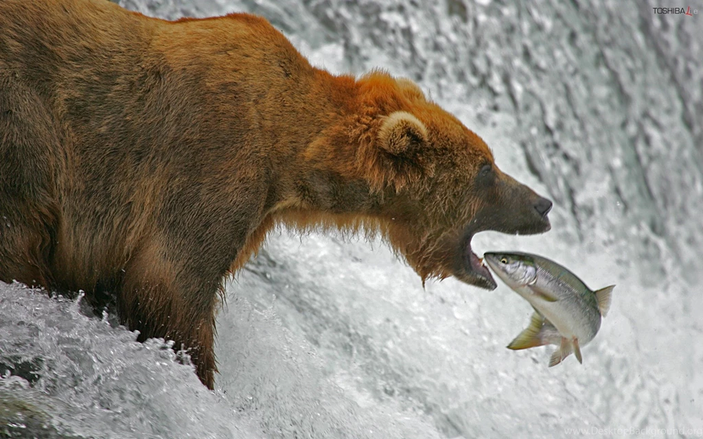 Featured, Weekly, Wallpaper, April, Articles, Singlescreen, Image ...