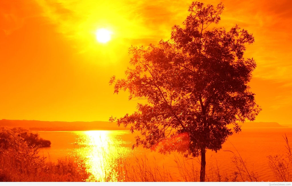 Summer Backgrounds And Wallpapers Hd 2015 2016