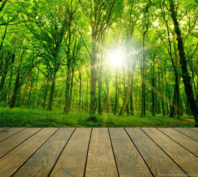 Wallpapers Adhesive Picture More Detailed Picture About Free ...