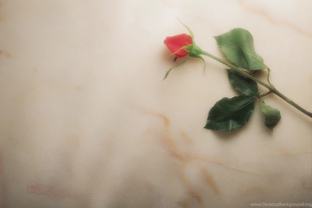 Funeral Backgrounds Pictures Wallpapers Cave