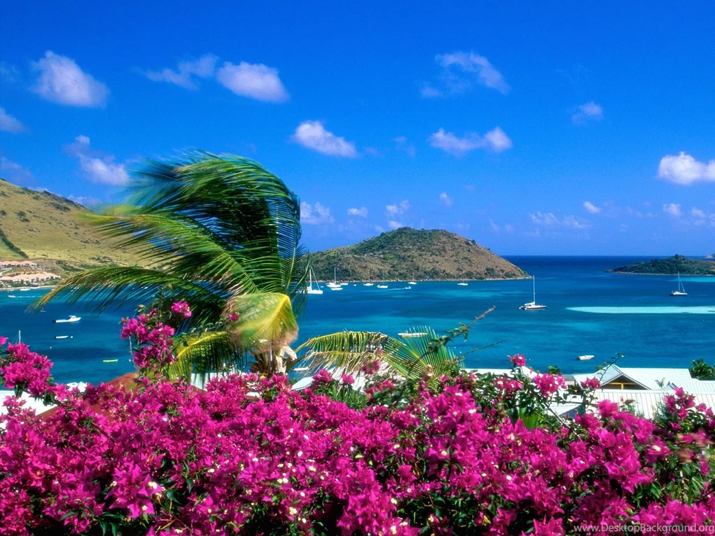 Beautiful Scene Of Beach – French Beach Post In Pixel Of 1600×1200 ...