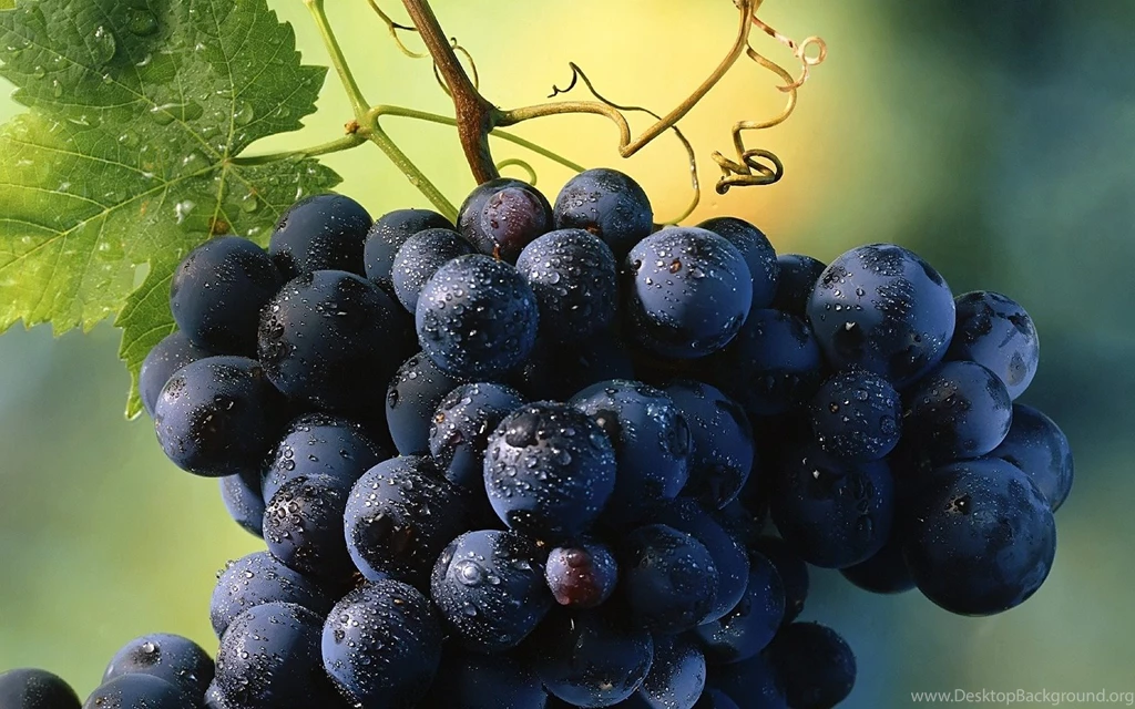 Wide HD Grape Wallpapers