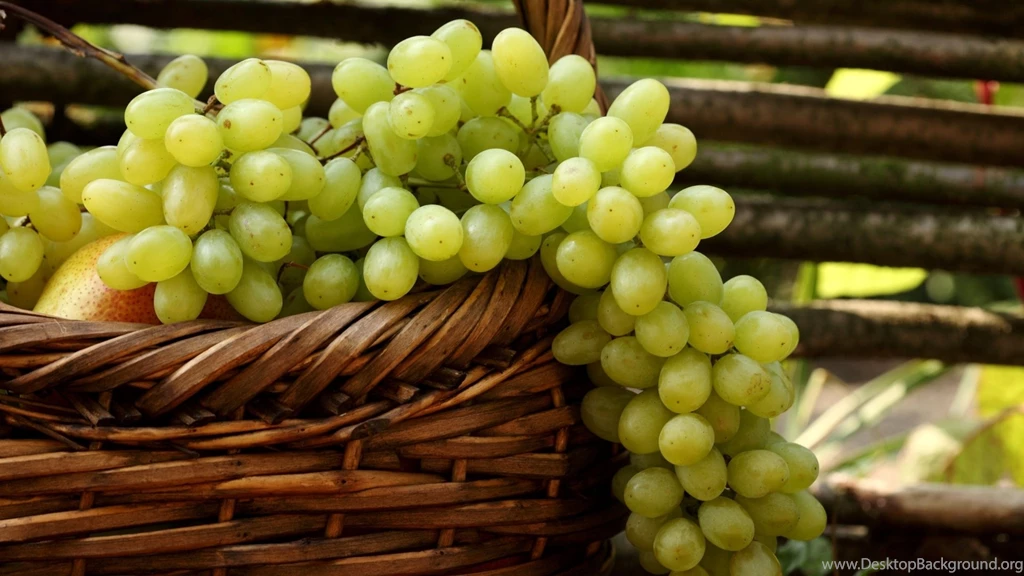 Grape – HD Wallpaper, Wallpapers Pics   The Best Wallpapers