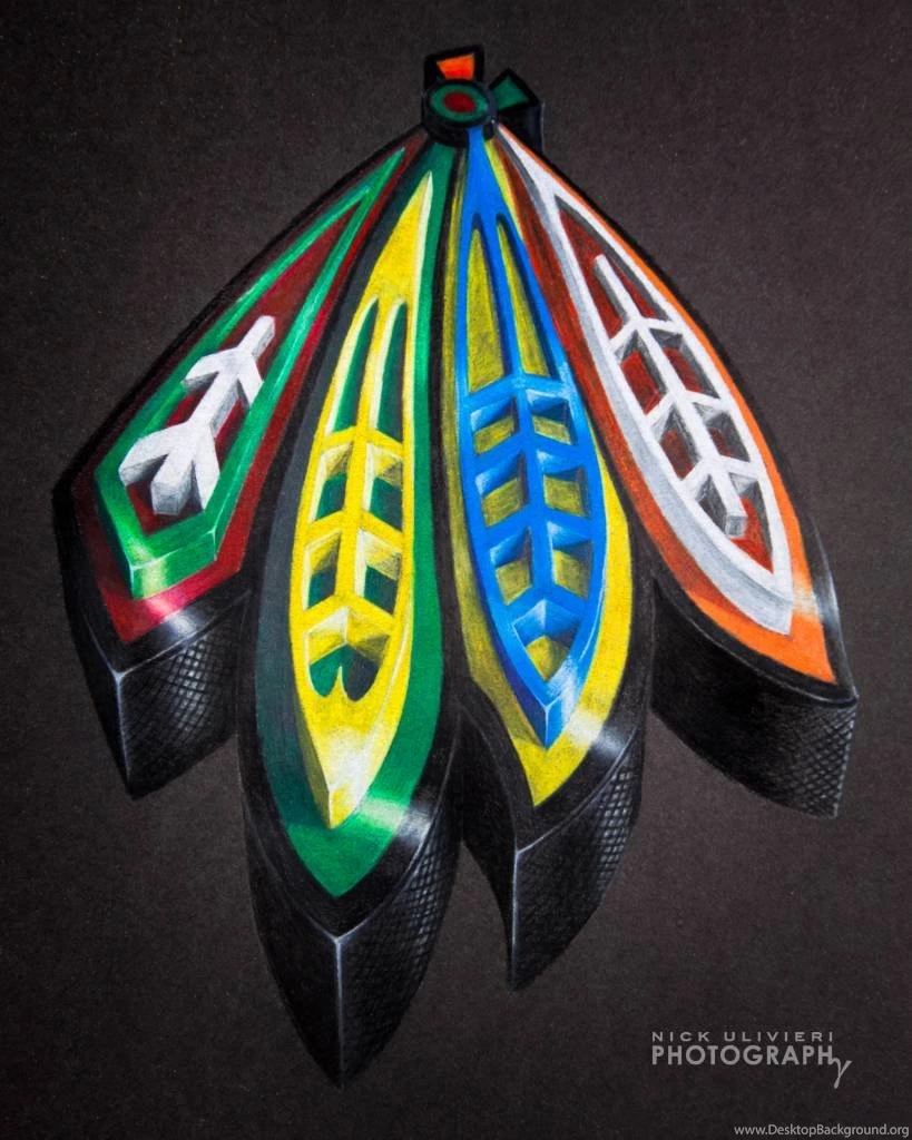 3d Hawk Feathers