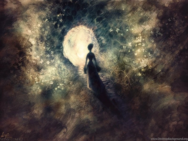 Butterfly,abstract Abstract Butterfly Artwork 1280x960 Wallpapers ...