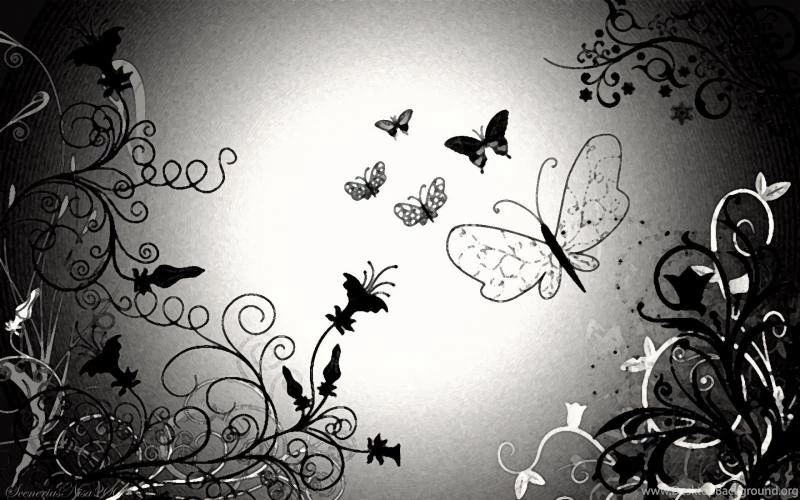 Butterfly Wallpapers Black And White Wallpaper,abstract HD ...