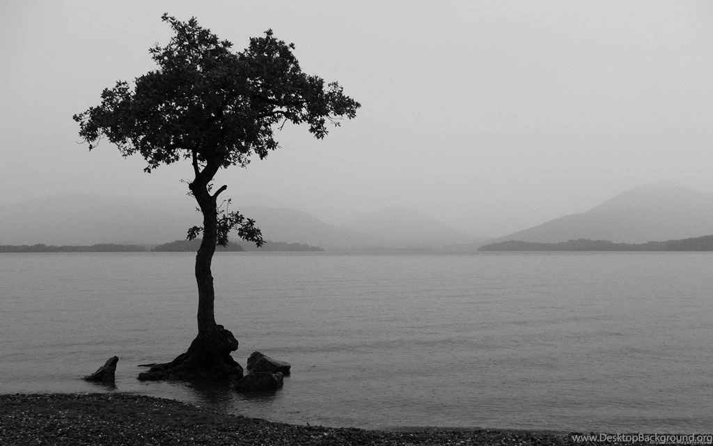 Wallpapers Black And White Collection (27+)