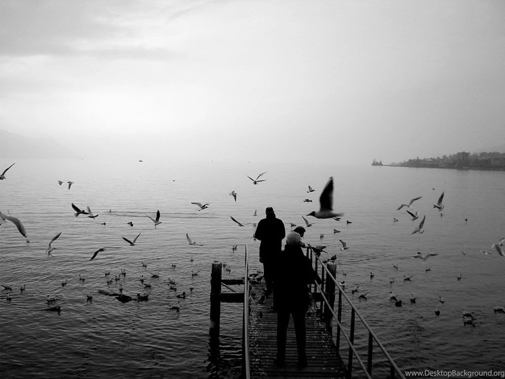 Images Of Nature In Black And White