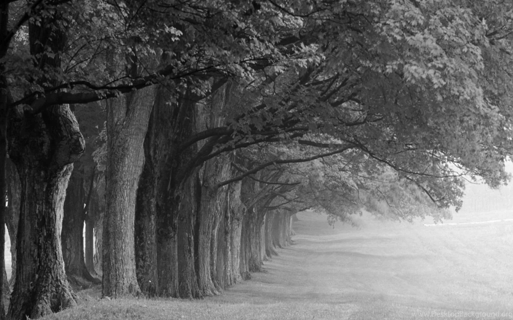 Black And White Desktop Wallpapers Wallpapers Cave