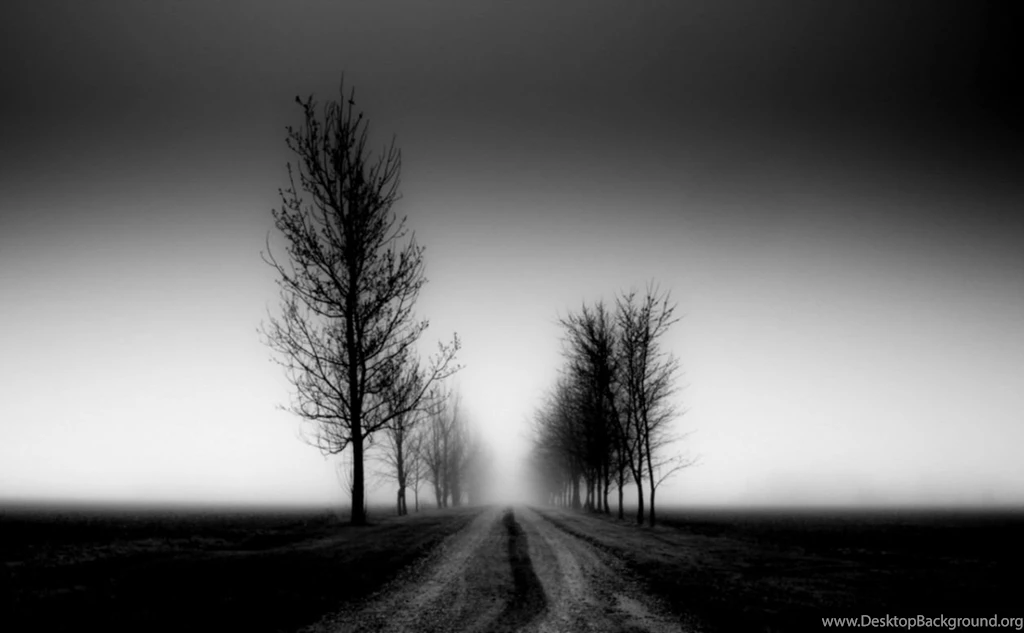 Nature Road Wallpapers Black And White