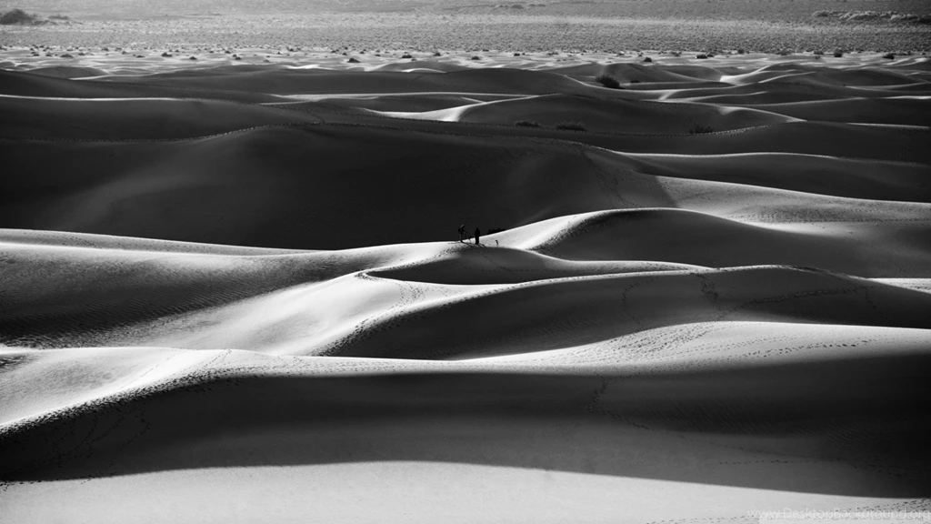 Nature Wallpapers Black And White Nature Wallpapers 4