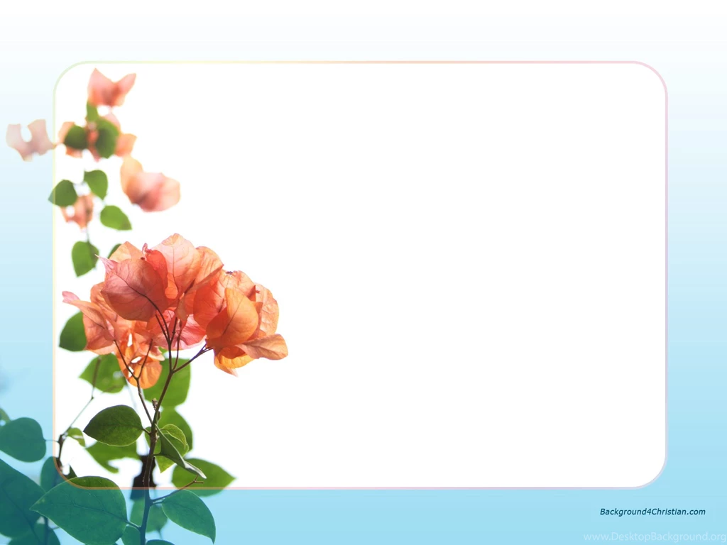 Wallpapers And Borders