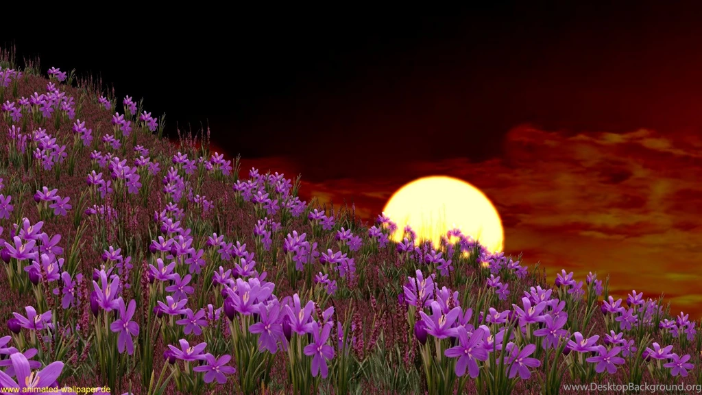 Free 3d Animated Wallpapers