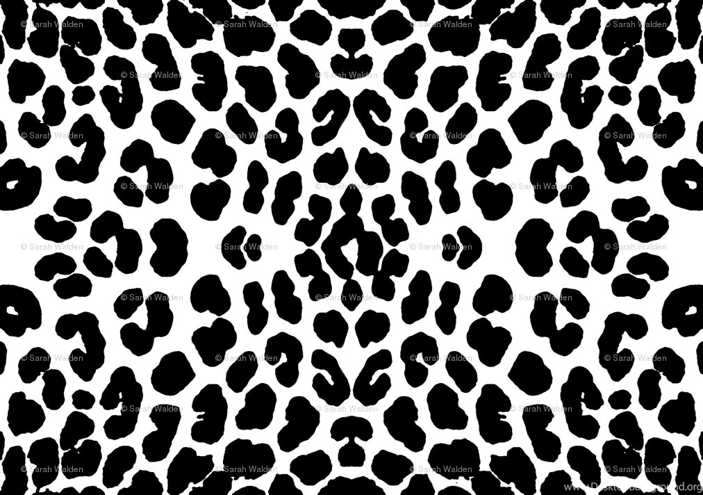 White Leopard Wallpapers   Wallpapers Cave