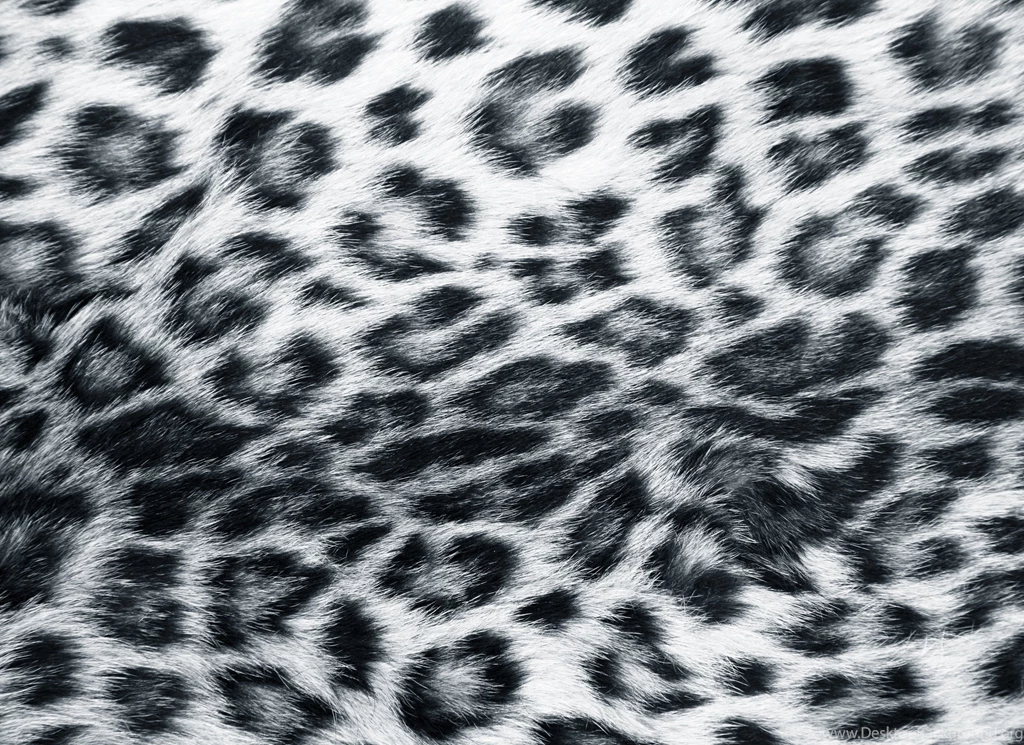 HD Cheetah Print Wallpapers   Wallpapers Zone