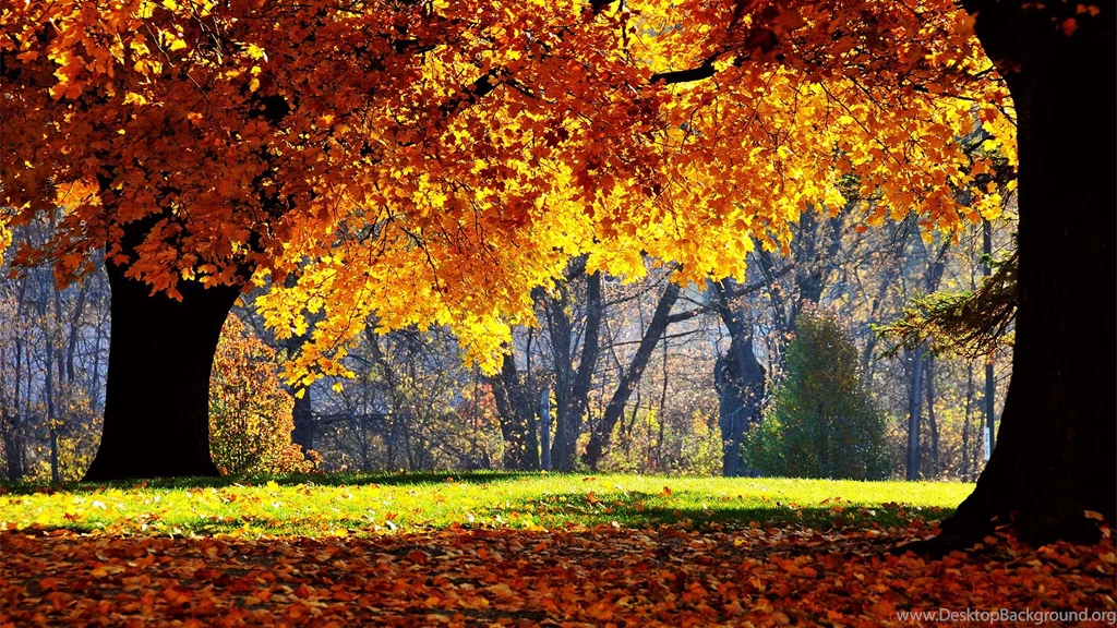 Best Fall Wallpapers Hd