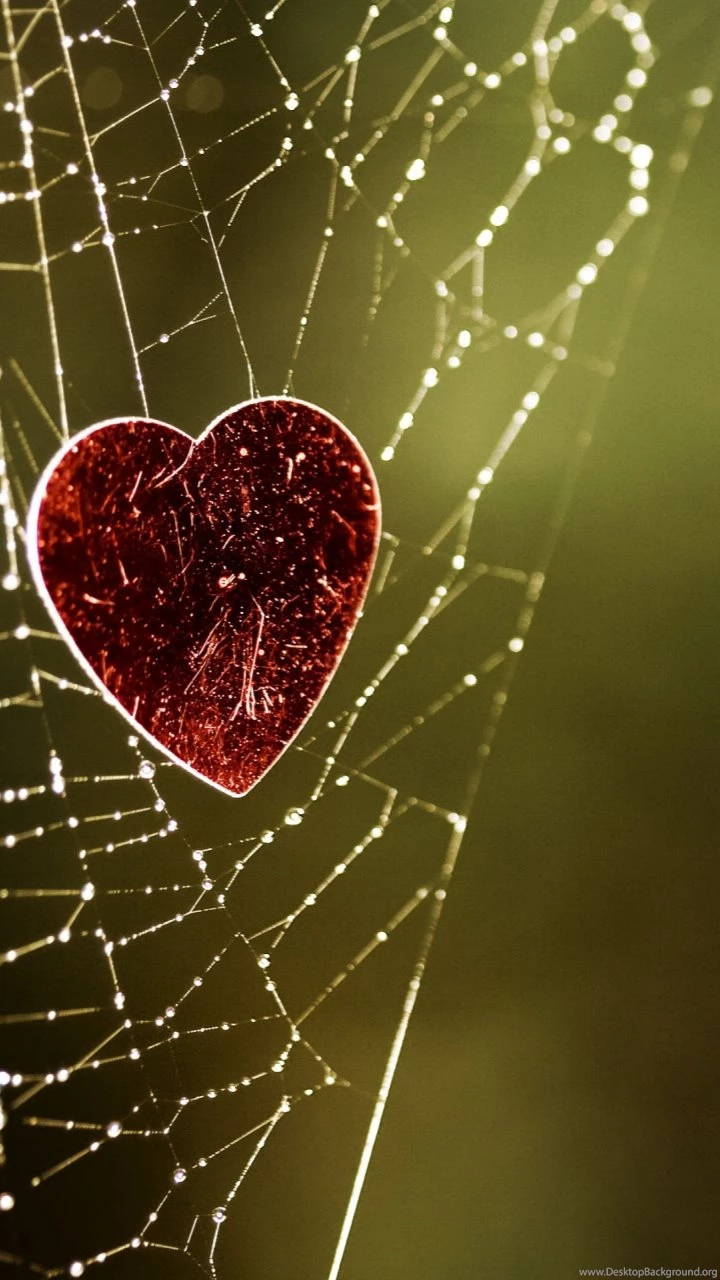 Love TrapSamsung Wallpapers Download