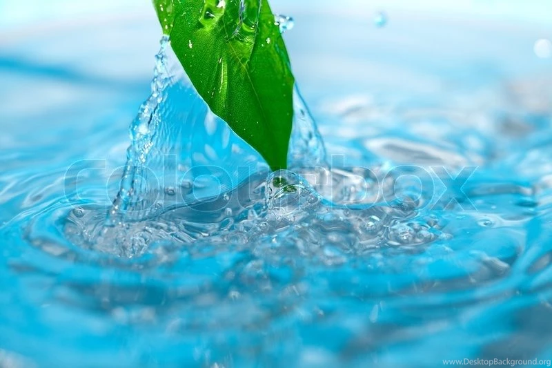 Water Drop And Green Leaves On A Blue Backgrounds
