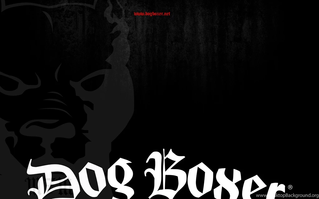 Wallpapers Mma Boxer Dog Clothing Boxing Kickboxing Respect The ...