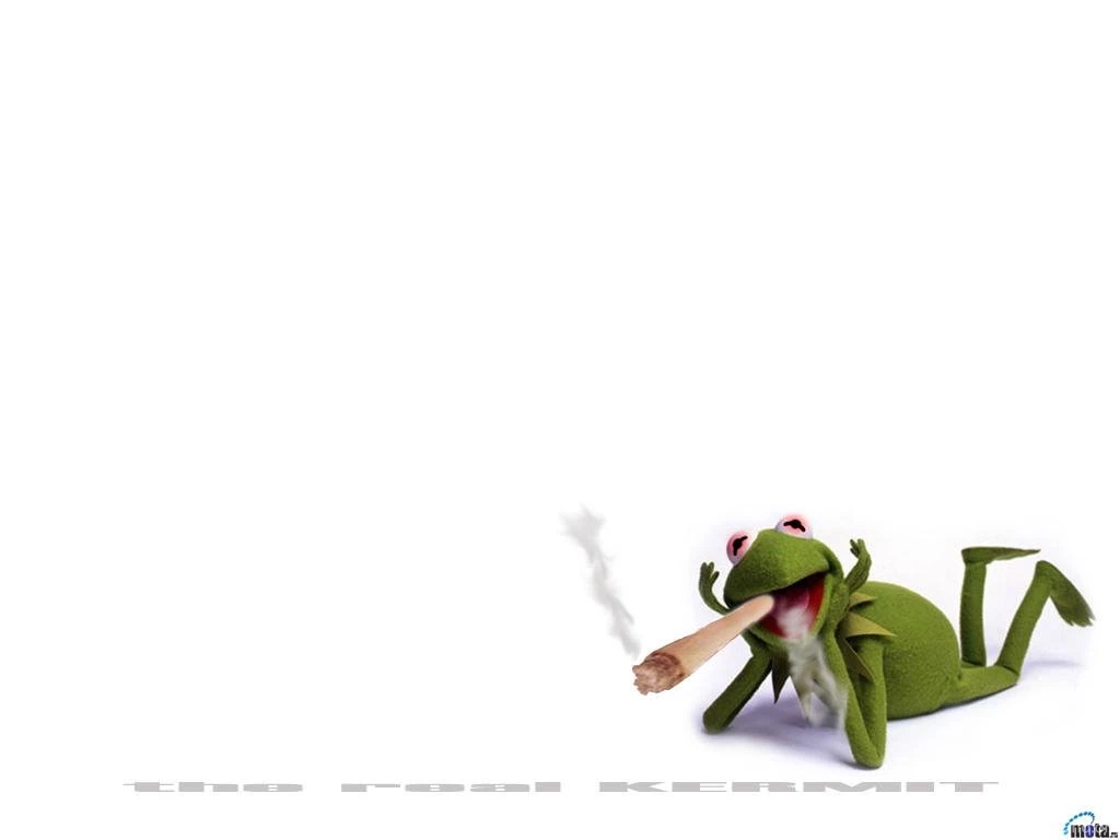 Download Wallpapers Kermit The Frog (1024 X 768). Desktop ...