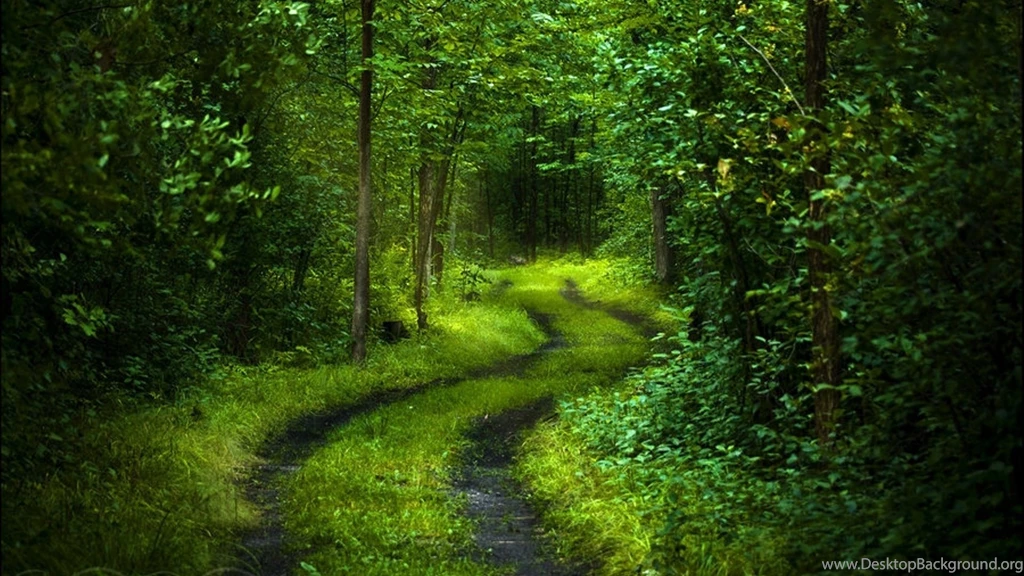 Full HD 1080p Road Wallpapers HD, Desktop Backgrounds 1920x1080 ...