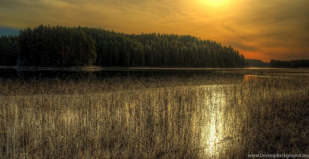 Sunsets: Sunset Lake Nature Trees Desktop Background Images For ...
