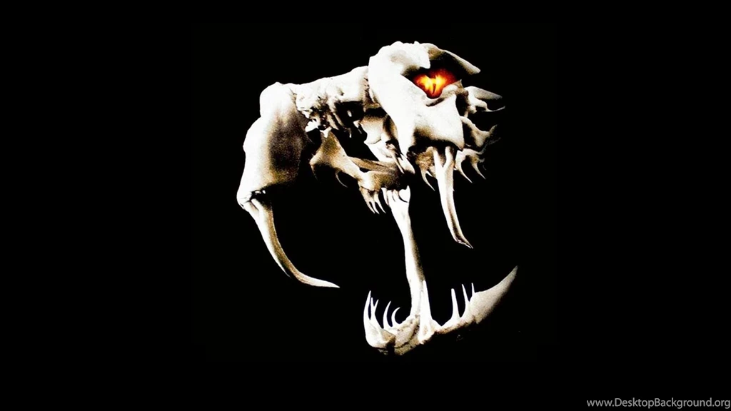 Wwe World Wrestling Entertainment Logos Randy Orton Wallpapers ...