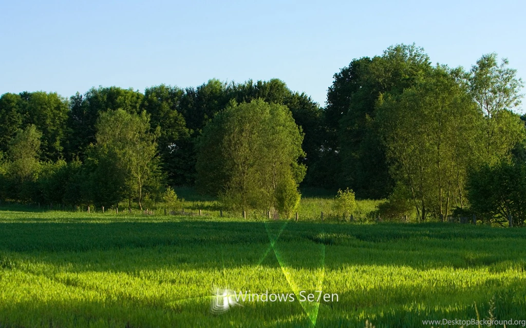 1680x1050 Windows 7 Forest Desktop PC And Mac Wallpapers