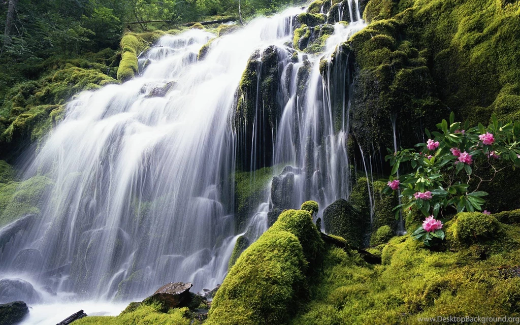 1920x1200 Windows 7 24 Desktop PC And Mac Wallpapers