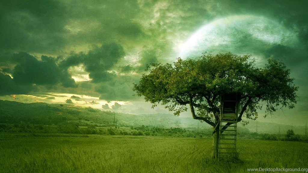 Golden Dream Wallpapers By Moroka323 On Deviantart   (