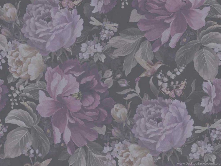 Dianthus Purple Haze f197b5c04a9308f5b08de383926b42f8.jpg