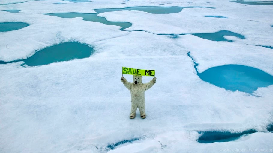 Greenpeace, Global Warming, Arctic Bear, Ice, Stop Global Warming ...