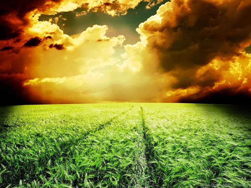 Twin Studies Not Without Merit, Barley Field Storm, Climate Change ...